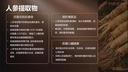 MIRIKEL Coffee (靈芝、人參、印加果）