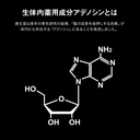 Anessa Adenogen藥用S-AX Essence EX (300ml)