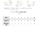 廠單Treegrandpa 兒童雨靴.7.webp