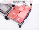 日本樂天 Travel Pouch 6件套旅行收納袋輕便套裝